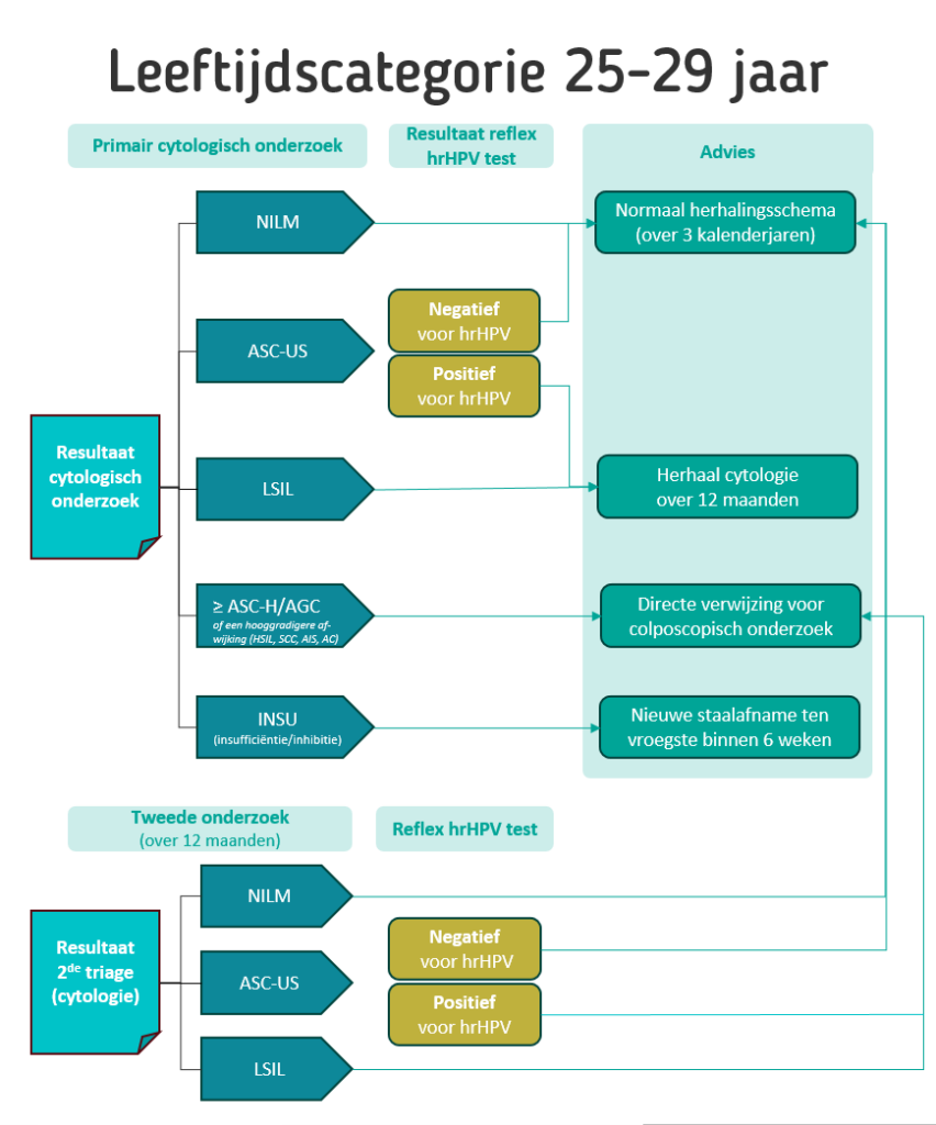 Hpv Flowchart Leeftijdscategorie 25 29 Jaar Vert